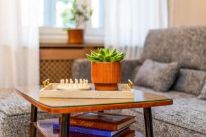 Szczecin City Center Apartment by BookingHost