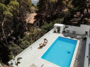 Elegant Panoramic Apartment with Balcony