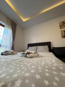 Apartman Nešić Milmari P72