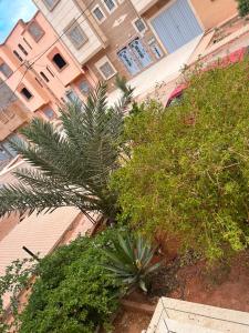 Yasser