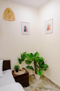 Spacious Modern Boho Gem by Hauz Khas Fort & Lake