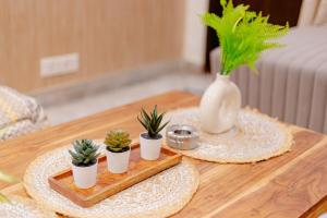 Spacious Modern Boho Gem by Hauz Khas Fort & Lake