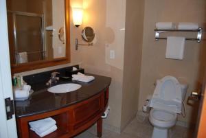 Holiday Inn Express Hotel & Suites Auburn Hills by IHG