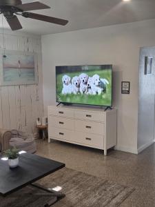 Hollywood Entire Home with Private Pool Near Hollywood Beach Sleeps 6 to 8 Pet Friendly
