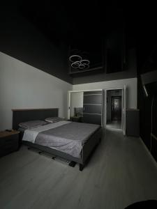 Edy studio