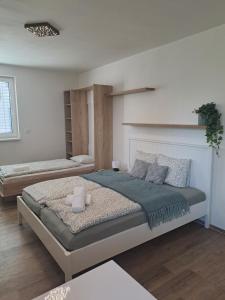 Apartman MWM Olomouc