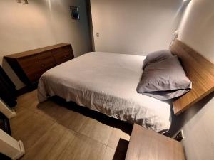 Dúplex con patio privado, Providencia