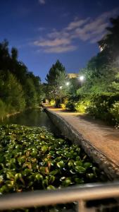 115 m2 near the center and the airport - view of the lake!