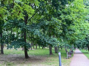 115 m2 near the center and the airport - view of the lake!