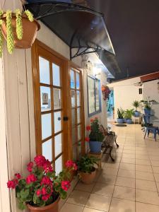 Hostal Avenue