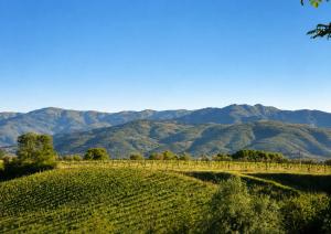 Agriturismo il Pino - Bioagricoltura