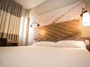 Ibis Teresina