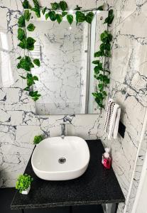 PS Stays 1BHK Near Medanta Sec-39 Gurgaon