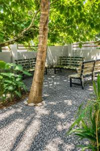 Kailasam Homestay Private 5BHK Varkala Near Cliff Beach