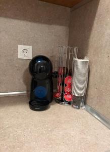 Privilege Apartment, Elenite