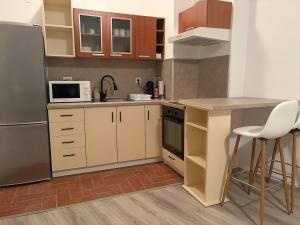 Privilege Apartment, Elenite
