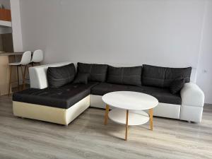 Privilege Apartment, Elenite