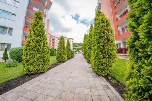 Privilege Apartment, Elenite