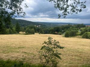 Chata Nova Izera - kameralnie - pod lasem - przy szlaku - singletrack - gondola - jacuzzi