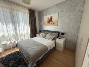 Luxury Apartments Belgrade Waterfront