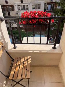 DElUXE Studio Beach Lazur