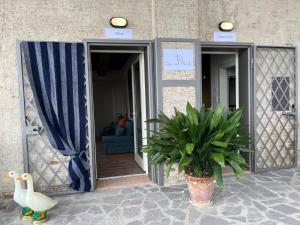 Casenelfienile