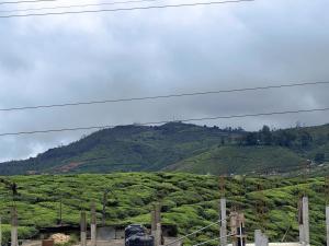 Rumas Mountain Breeze