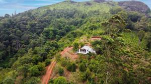 Willostays Vagamon Lavender hills