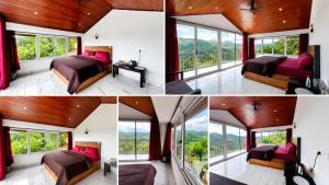 Willostays Vagamon Lavender hills