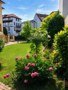 Maison de maître - Appartement Jardin