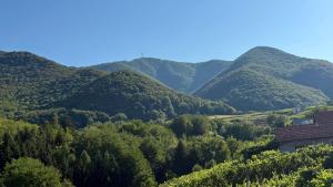 Dedina Klet - Vineyard Cottage with Mountain View