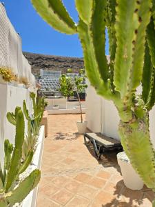 Bungalow Carola, Large private terrace, Puerto Rico
