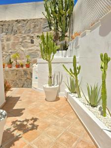 Bungalow Carola, Large private terrace, Puerto Rico