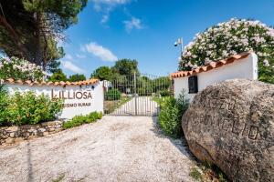Casa Lilliosa