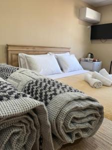 Guest House Mene