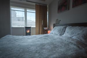 Evexia suite, central apartment