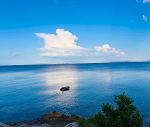 Blue View Murter