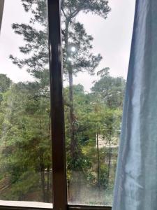 Brent Hill Studio Baguio-Sleeps 2-4 Max 6 Near SM & Session Road