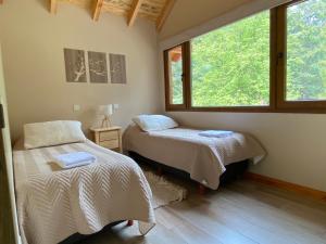 Cabañas en el bosque patagónico