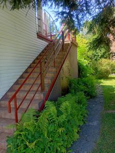 Domek i Apartamenty Stokrotka