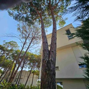 San Pietro - Premium Zone Corner Garden Apartment