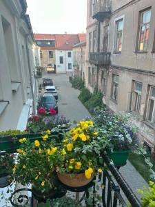 Art Spot Łomża a flat in a tenement house