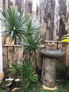 Soul Glamping -Retreat -Ocean View