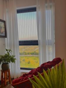 Bông Home - Căn hộ nghỉ dưỡng Lazur Cửa Lò