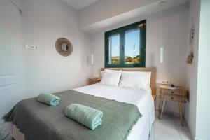 Patella suite