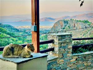 Pelion Estate with Grand Garden and Sea Views
