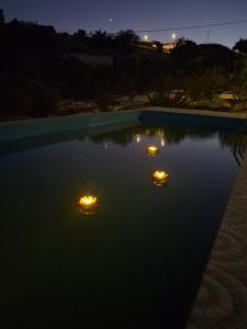 Casa dos Pessegueiros - Dream Valley Accommodation