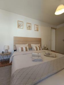 Areal Guest House
