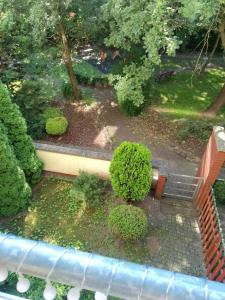 Zielone Tarasy - Apartament Amfiteatr
