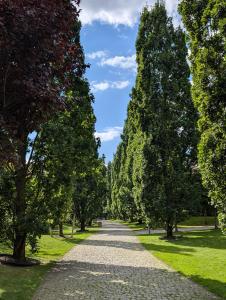 Magnolia Park Studio - Apartament & Parking